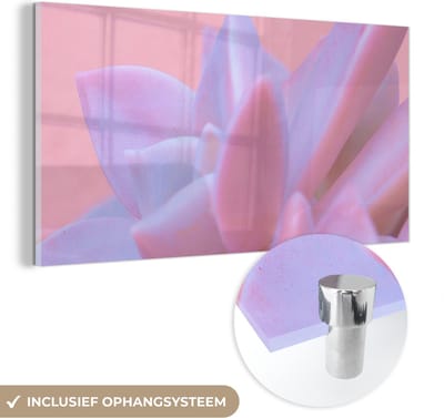 MuchoWow® Glasschilderij 40x20 cm - Schilderij acrylglas - Vetplant - Zomer - Roze - Planten - Foto op glas - Schilderijen