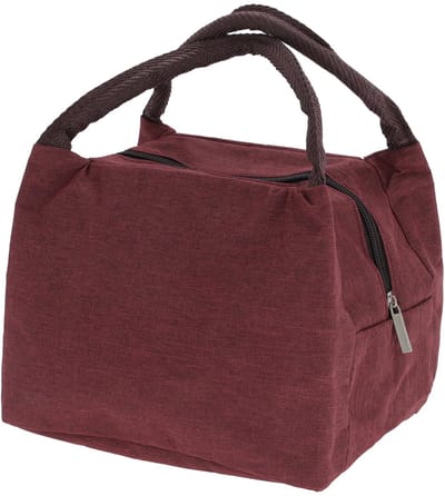 Dailygoods- Lunchtas Herbruikbaar - Opvouwbaar - Lekvrij - Koeltas - Werk - 22,5 x 16 x 18 cm - Robuuste Oxford-stof