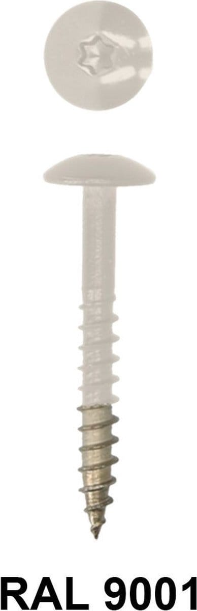 Ivana Gevelschroef t.b.v. Trespa RAL9001 CrÃ¨me Wit TX-20 4.8x38 - 100St