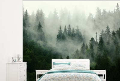 Behang - Fotobehang Bos - Mist - Bomen - Natuur - Breedte 275 cm x hoogte 220 cm