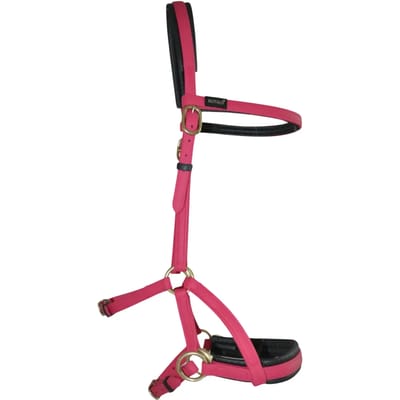 Hoofdstellen T de T Sidepull Biotack®