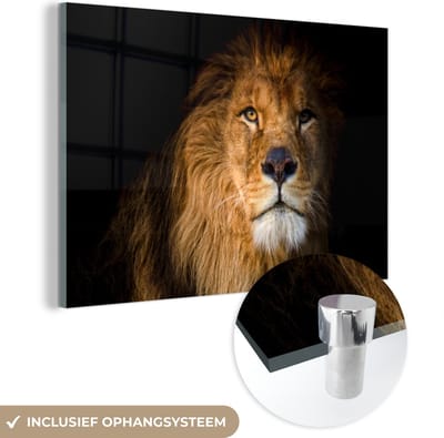 MuchoWow® Glasschilderij 120x80 cm - Schilderij acrylglas - Leeuw - Licht - Zwart - Portret - Foto op glas - Schilderijen