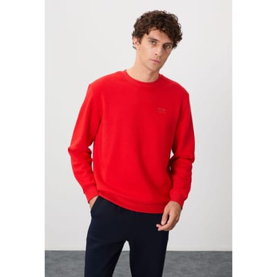Heren Regular Fit Round Neck Sweater