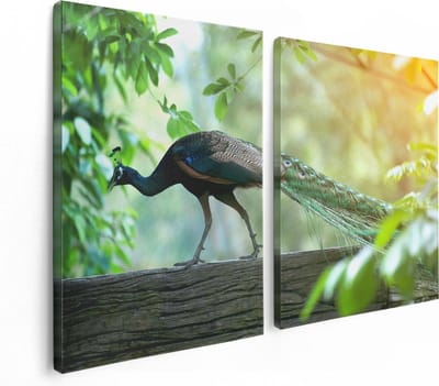 Artaza Canvas Schilderij Tweeluik Pauw Loopt Op Een Tak In De Natuur - 120x80 - Foto Op Canvas - Canvas Print