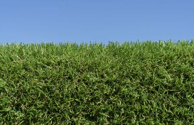 Kunstgras 4 x 23 meter - 20mm ✅ Nederlandse Productie - Uitgeroepen zachtste Grastapijt ✅ Waterdoorlatend | Tuin | Kind | Dier