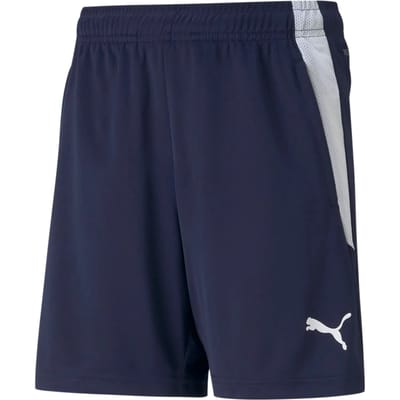 Kinder shorts Puma Team Liga Training