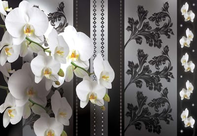 Fotobehang Flowers Floral Orchids Pattern | XL - 208cm x 146cm | 130g/m2 Vlies