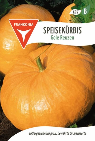 Eetbare pompoen, Gele Reuzen - Bestseller groentezaden pompoenpitten