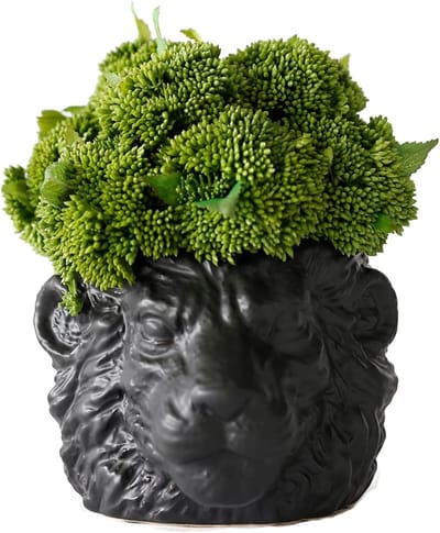 Kunstplant Leeuwenkop - Nep plant decoratie - Huis verfraaien - Realistisch ontwerp - 15x11 cm - Zwart
