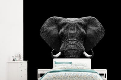 Behang - Fotobehang Dieren - Olifant - Portret - Zwart - Wit - Breedte 315 cm x hoogte 260 cm