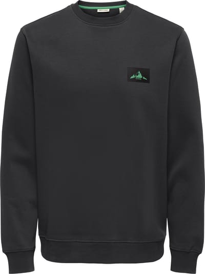 ONLY&SONS - ONSMATTHIJS REG SWEAT CREW CS - Heren - Sweaters