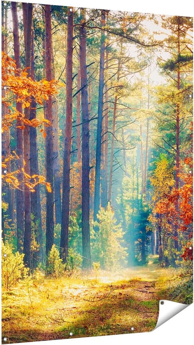 Gards Tuinposter Herfstbos met Zonneschijn - Kleur - 120x180 cm - Tuindoek - Tuindecoratie - Wanddecoratie buiten - Tuinschilderij