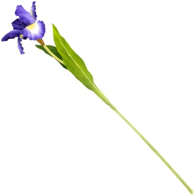 HomeBound by KY | Kunstbloem iris paars | kunstbloem | kunstbloem iris