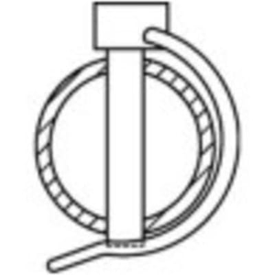 TOOLCRAFT Buisklem 50 stuk(s)