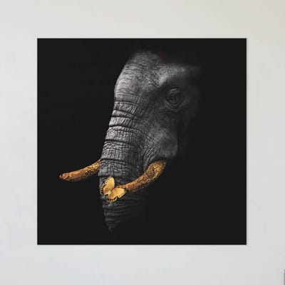 Schilderij Woonkamer - Canvas Schilderij Gouden Olifant - 60 x 60 cm - PosterGuru