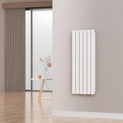 Design Radiator Wit 120x45 cm Modern voor Badkamer en Woonkamer