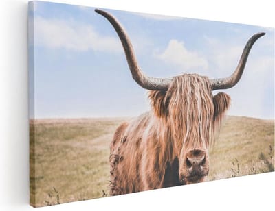 Artaza Canvas Schilderij Schotse Hooglander - 40x20 cm - Klein - Wanddecoratie Woonkamer - Muurdecoratie Dieren - Canvas Schilderij Hooglander