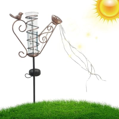 Frostbestendige Regenmeter voor de Tuin, Glas Regenmeter met Grondpen en Schaal, Ideaal voor Buitengebruik en Tuinieren