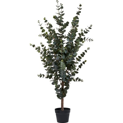 House Collection Kunstplant Eucalyptus H120 cm