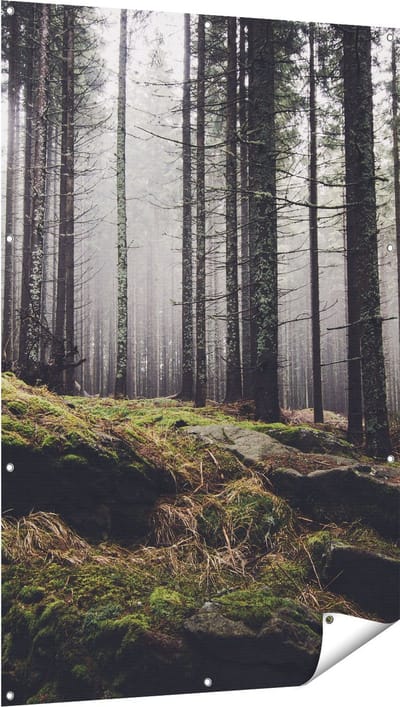 Gards Tuinposter Bos met Mos op Rotsen - 100x150 cm - Tuindoek - Tuindecoratie - Wanddecoratie buiten - Tuinschilderij