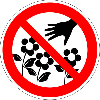 Verboden bloemen te plukken sticker 100 mm