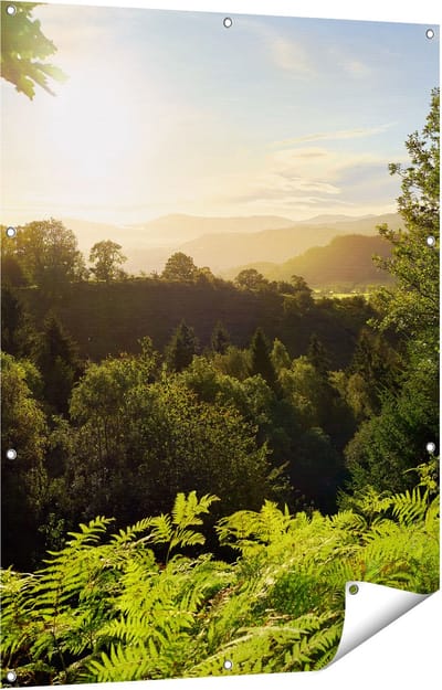 Gards Tuinposter Zonsondergang vanuit een Bos - 90x120 cm - Tuindoek - Tuindecoratie - Wanddecoratie buiten - Tuinschilderij