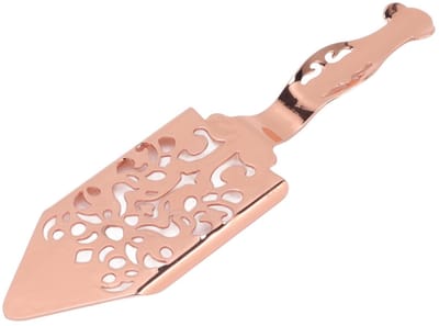 Dailygoods- Absint-lepel Roestvrij staal - Cocktailbar - Drinkfilterlepel - Suikeroplossing - IJswater - 25 g - Cocktaillepel