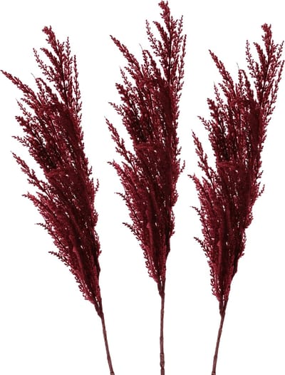 TopArt Pampasgras pluim losse steel/tak - 3x - bordeaux rood - 100 cm - Decoratie kunst bloemen/graspluimen