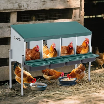 HAUSS SPOLE Legnest – 4 Nistvakken 107 x 33 x 81 cm – Metaal – Groen – Met Poten, Schuindak En Eieropvang Voor Buiten