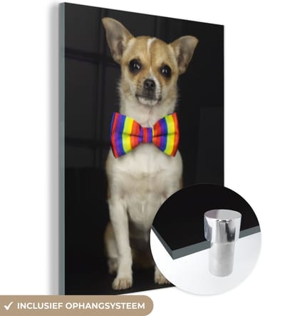 MuchoWow® Glasschilderij 120x160 cm - Schilderij acrylglas - Hond - Strik - Zwart - Foto op glas - Schilderijen