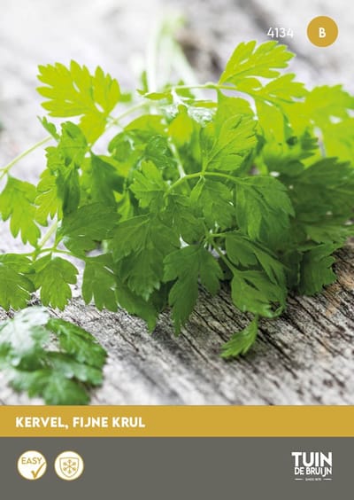 Kervel Fijne Krul Zaden – Anthriscus cerefolium – Kruidenzaden – Keukenkruid voor Moestuin, Kruidentuin & Pot - Tuin de Bruijn® zaden
