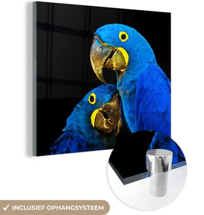MuchoWow® Glasschilderij 50x50 cm - Schilderij acrylglas - Papegaai - Vogel - Veren - Blauw - Foto op glas - Schilderijen