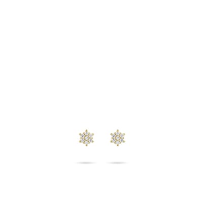 GISSER Jewels - Gouden oorstekers - 14k Goud - 3.6 mm