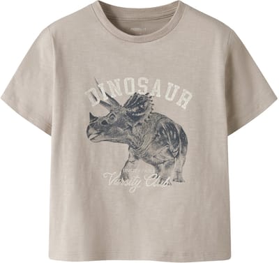 NAME IT - NMMFEATH SS NREG TOP BOX - Jongens - T-shirts