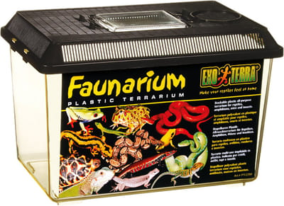 Ex faunarium M