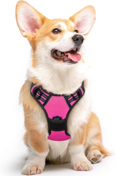 Hondentuig No Pull, Hondenharnas voor Middelgrote Honden, Verstelbare Harnas Hond met Reflecterend Strepen, Gewatteerd Zacht Ademend, Hondentuigje Anti-trek voor Training, Fuchsiaroze M