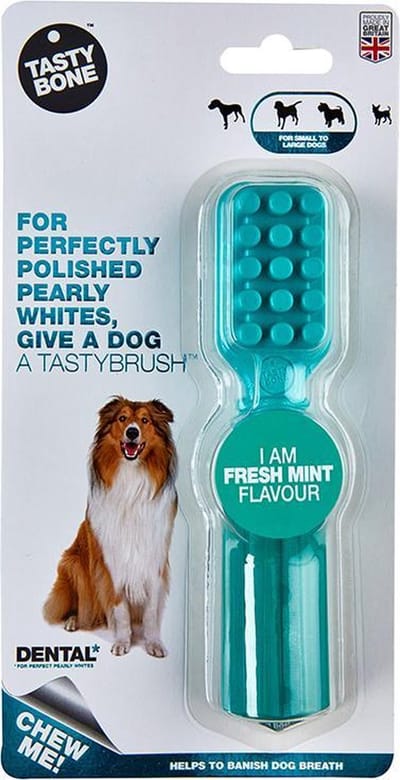 TastyBone - TastyBrush - Fresh Mint - Hond - Kauwspeelgoed - Vegan - Kluif - Nylabone