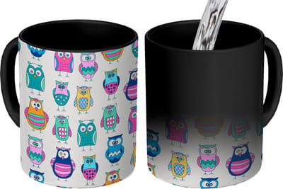 Magische Mok - Foto op Warmte Mokken - Koffiemok - Regenboog - Uil - Cartoon - Magic Mok - Beker - 350 ML - Theemok