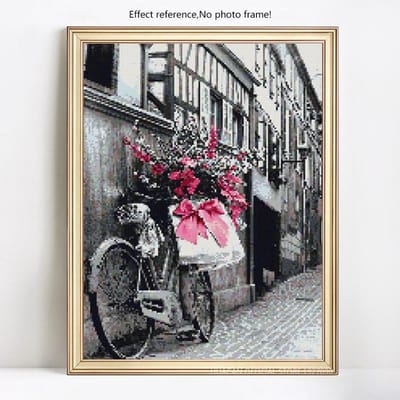 Diamant schilderij borduurwerk Rose Street Diamond mozaïek kruissteek steentjes 20X30CM gray