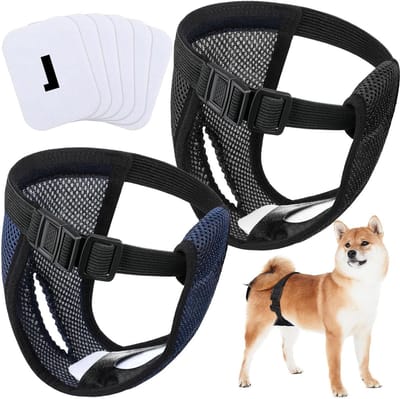Hondenbroekjes voor Vrouwelijke Honden, Herbruikbare Luiers met 6 Hygiënische Inleggers, Geschikt voor Maandelijkse Bloedingen, Zwart en Blauw (L)
