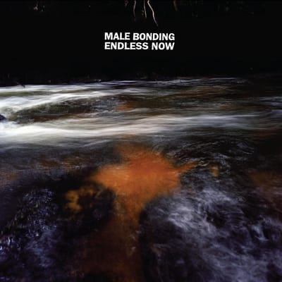 Male Bonding - Endless Now (LP)