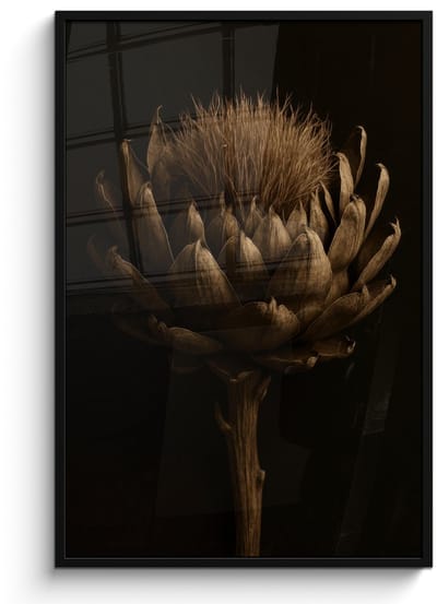 Poster in lijst - Fotolijst 80x120 cm - Posters - Donkerbruin - Bloem - Textuur - Artisjok - Posterlijst zwart - Decoratie - Wanddecoratie woonkamer - Muurdecoratie slaapkamer