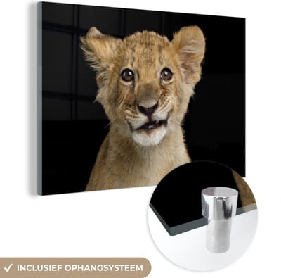MuchoWow® Glasschilderij 30x20 cm - Schilderij acrylglas - Welp - Portret - Kleuren - Foto op glas - Schilderijen