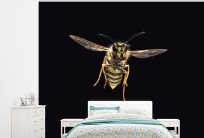Behang - Fotobehang Wesp - Insecten - Portret - Breedte 300 cm x hoogte 240 cm
