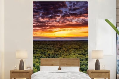 Behang - Fotobehang Bos - Nacht - Lucht - Horizon - Bomen - Breedte 200 cm x hoogte 300 cm