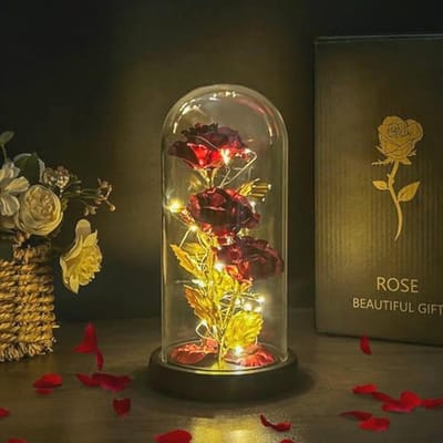 Eternal Rose in Glass - Preserved LED Rose for Mother's Day, Birthdays, and Anniversaries