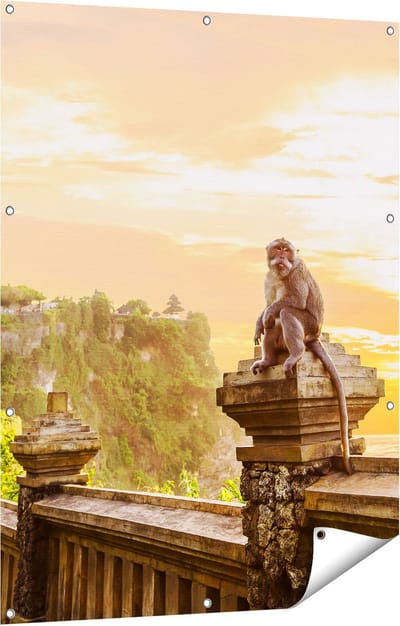 Gards Tuinposter Aap op de Uluwatu Tempel in Bali - 90x120 cm - Tuindoek - Tuindecoratie - Wanddecoratie buiten - Tuinschilderij