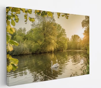 Saammp Canvas Schilderij - Zwaan in zonsondergang - Natuur - Dieren - 45x30 - Foto op canvas - Wanddecoratie - Muurdecoratie Woonkamer - Slaapkamer decoratie - Canvas Print