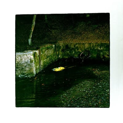 Franck Vigroux - Totem (LP)