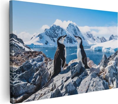 Artaza Canvas Schilderij Pinguïns - 90x60 cm - Wanddecoratie Dieren - Muurdecoratie Bergen - Schilderijen Op Canvas Natuur